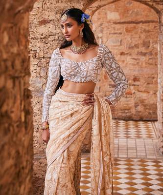 Beige  net embroidered saree 2