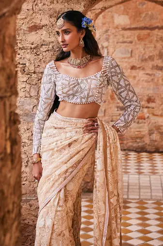 Beige  net embroidered saree