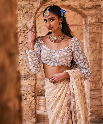 Beige  net embroidered saree 3