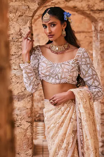 Beige  net embroidered saree