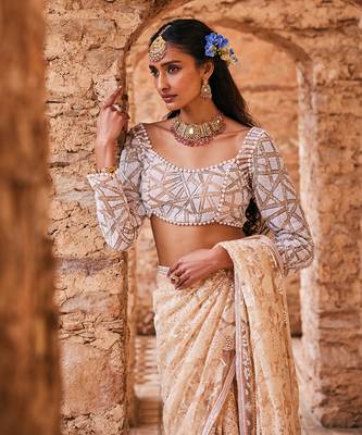 Beige  net embroidered saree 4