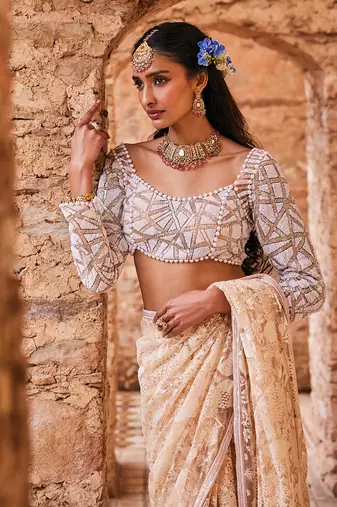 Beige  net embroidered saree