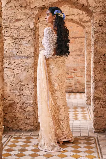 Beige  net embroidered saree