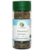 Fresh & 100% Pure Natural No preservatives Organic Rosemary Leaves Herbs For Directly sprinkling In Coocking