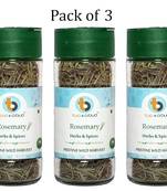 Fresh & 100% Pure Natural No preservatives Organic Rosemary Leaves Herbs For Directly sprinkling In Coocking