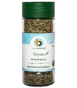 Fresh & 100% Pure Natural No preservatives Organic Thyme Leaves Leaves Herbs For Directly sprinkling In Coocking