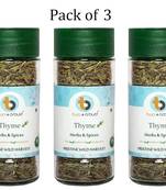 Fresh & 100% Pure Natural No preservatives Organic Thyme Leaves Leaves Herbs For Directly sprinkling In Coocking