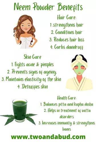 100% Organic Pure & Natural Neem Leaves Powder Hair Care and Skin Cleanser (Pack of 1, 200g)