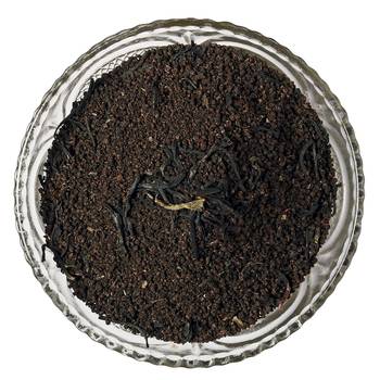 CTC Premium Chai Pack of 1 3