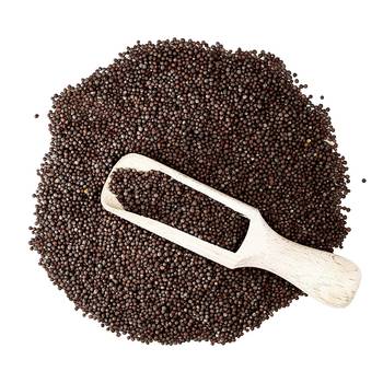 Two & A Bud Jakhiya Seeds | Superfood of Uttarakhand | Cleome Viscose | Wild Mustard Seeds (100g) 4