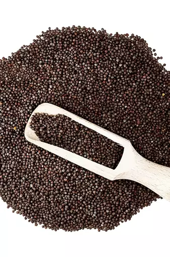 Two & A Bud Jakhiya Seeds | Superfood of Uttarakhand | Cleome Viscose | Wild Mustard Seeds (100g)