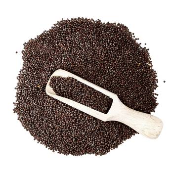 Two & A Bud Jakhiya Seeds | Superfood of Uttarakhand | Cleome Viscose | Wild Mustard Seeds (250g) 2