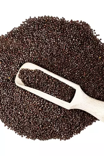 Two & A Bud Jakhiya Seeds | Superfood of Uttarakhand | Cleome Viscose | Wild Mustard Seeds (250g)