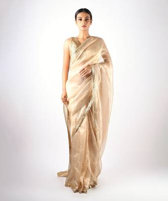 Handwoven Gold Tissue Saree With Fringea Border Without Blouse 1