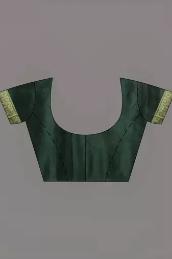 Parrot green embroidered motifs silk saree with zari borders