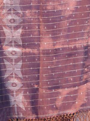 Blue polka dots tissue saree with stripes pallu 4