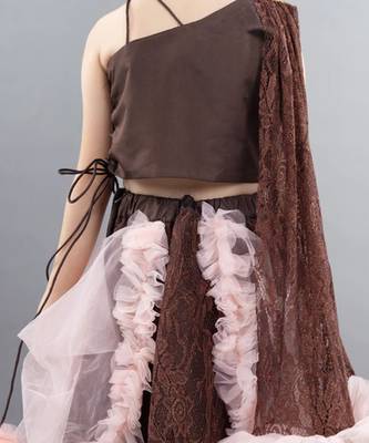 Brown net embroidery lehenga blouse set 2