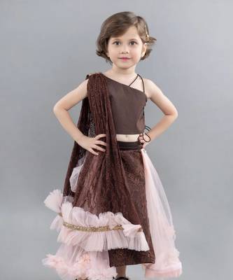 Brown net embroidery lehenga blouse set 3