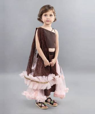 Brown net embroidery lehenga blouse set 4