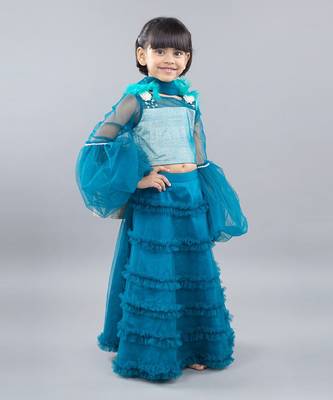 Blue net embellished lehenga set 3