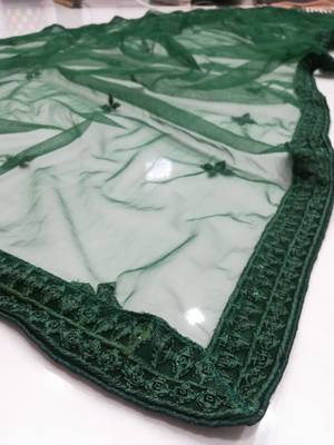 Chiku and Dark-green Dori, Sequins Embroidered georgette semi stitched Party wear lehenga choli 6