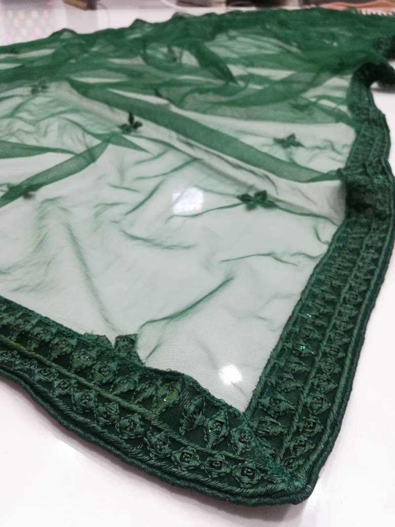 Chiku and Dark-green Dori, Sequins Embroidered georgette semi stitched Party wear lehenga choli