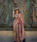 Elora Pure Kashmiri Organza Pashmina Saree (Brown)