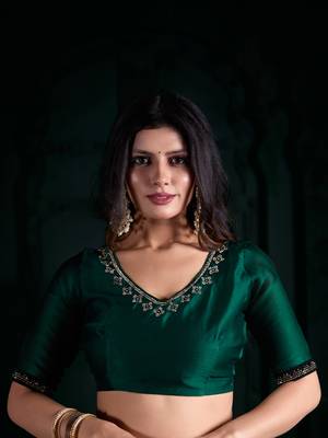 Green hand work sequins zarkan border chiffon silk saree 2