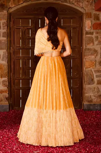 Mayan Gold Georgette Lehenga Set