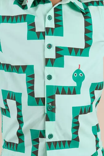 Green cotton printed  co-ord set