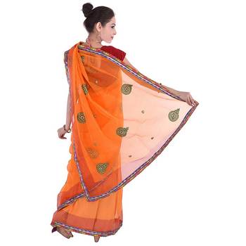 Zari Resham Embroidery Work N Fancy Border Saree Deepawali Gift 291 2