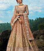 Light Brown Net Lehenga choli with Sequin Embroidery