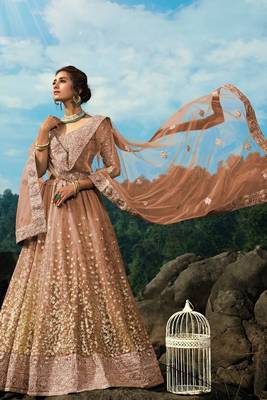 Light Brown Net Lehenga choli with Sequin Embroidery 4