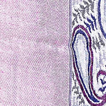 Ethnic Paisley Print Reversible Purple Silk Stole Diwali Special Gift 186 3