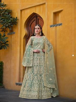 Sea-Green Embroidered Net Semi_Stitched Pant Party Wear Salwarsuit 1