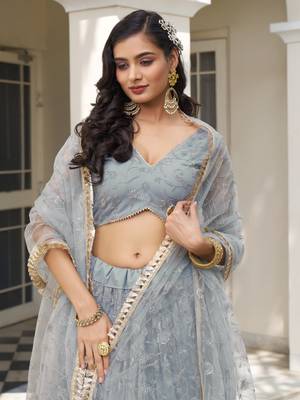blue net hand embroidered lehenga 4