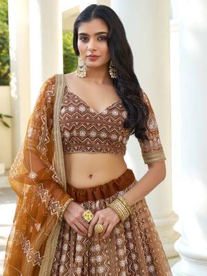 Beige Soft Net Embroidered Lehenga Choli With Dupatta For Wedding  2