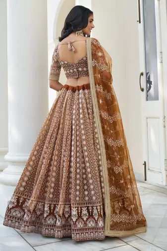 Beige Soft Net Embroidered Lehenga Choli With Dupatta For Wedding 