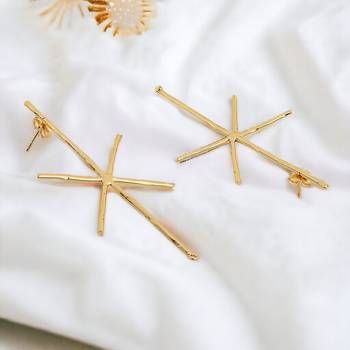 Beautiful matte gold finish earrings 1