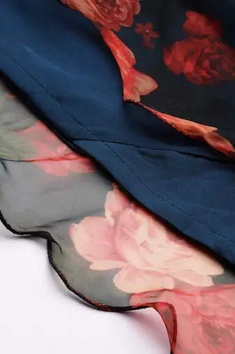 Ethnovog ready to wear blue digital printed organza gown