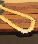 Kerala style gold plated temple coin long necklace