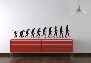 Evolution wall decal 1