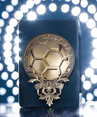Football Fan Brooch 2