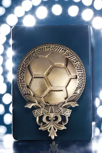 Football Fan Brooch