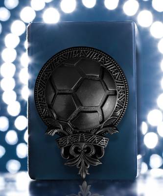 Football Fan Brooch 2