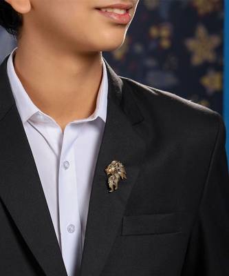Lion the Ruler Brooch 3