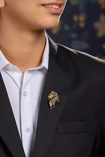 Lion the Ruler Brooch