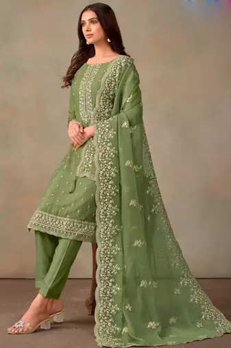 Light green organza embroidery work designer salwar suit