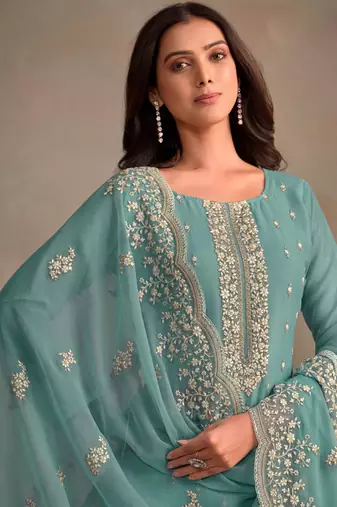 Sky blue organza embroidery work designer salwar suit