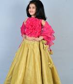 Aglare heavy Oraganza Rose Flower  ethnic Lehenga choli for small girls,Girls,Baby girls,kids.Magenta gold